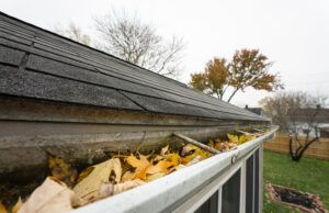 Gutter Guards with Leaf Solution Xtreme